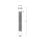 Flexibele Afvoerslang 1 ¼” (3,2cm) x 51,1cm | Cranplas