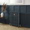 Gietijzeren Radiator 2 Kolommen 95cm Hoog - Hague Blue 30 van Farrow & Ball | Kies de Breedte | Charlotte