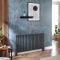 Radiatorpoten voor Revive Designradiatoren - Antraciet | Revive