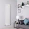 Verticale Design Radiator Dubbel Paneel | Keuze Afmeting en Kleur | Delta