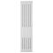 Verticale Design Convector Radiator 2-Lagig Ontwerp met Vlakke Panelen 178cm Hoog Type 21 | Keuze Breedte en Afwerking | Erin
