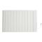 Slimme Radiator Elektrisch met Stekker (Type F) 2000W 101,3cm x 53,3cm - Wit | Virtus