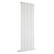 Verticale Design Radiator 175cm Hoog | Keuze Kleur | Keuze Afmeting | Enkel- of Dubbellaags Ontwerp | Sterling Quinn van Hudson Reed