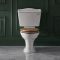 Duoblok Toilet Keramisch Klassiek Wit met Stortbak en Warm Eiken WC-Bril | Ryther