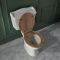 Duoblok Toilet Keramisch Klassiek Wit met Stortbak en Warm Eiken WC-Bril | Ryther