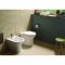 Randloos Toilet Staand, Comfortabel met Softclose Toiletzitting met Deksel Glanzend Wit | RAK Resort x Hudson Reed