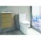 Duoblok Toilet Maxi Randloos met Softclose Toiletzitting met Deksel Glanzend Wit | RAK Resort x Hudson Reed