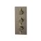 Douchekraan Thermostatisch Inbouw 2-Weg Geborsteld Messing | Clarus