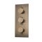 Douchekraan Thermostatisch Inbouw 3-Weg met Omstel Geborsteld Messing | Clarus