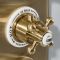 Douchekraan Inbouw Thermostatisch 2-Weg Klassiek - Satijn Goud | Elizabeth
