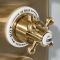 Hudson Reed Elizabeth - Douchekraan Inbouw Thermostatisch 3-Weg Klassiek met Omstel - Satijn Goud