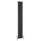 Kolomradiator Verticaal 2-Koloms Klassiek Antraciet 180cm | Windsor