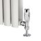 Radiatorkranen Thermostatisch Haaks Chroom met 15mm Adapters