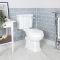 Duoblok Toilet en Wastafel 51.5cm Hangend Klassiek Wit | Richmond
