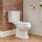 Duoblok Toilet en Wastafel 50cm met Zuil Klassiek Wit | Richmond