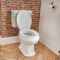 Duoblok Toilet en Wastafel 50cm met Zuil Klassiek Wit | Richmond