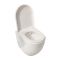 Hangend Toilet Randloos Modern Wit met Hoog Muurframe | Keuze Bedieningsplaat | Ashbury