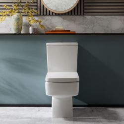 Duoblok Toilet Modern met Soft-Close Toiletzitting | Keuze Afwerking Spoelknop | Sandford