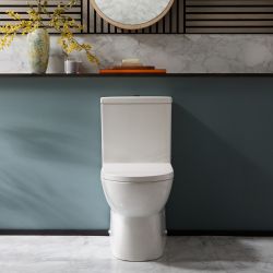 Duoblok Toilet Modern met Soft-Close Toiletzitting | Keuze Afwerking Spoelknop | Hatfield