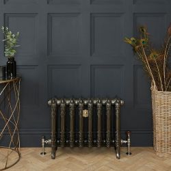 Gietijzeren Radiator 2 Kolommen 51cm Hoog Gepolijste Afwerking | Kies de Breedte | Charlotte