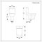 Duoblok Toilet - Achter Onder (AO) Aansluiting - Modern met Soft-Close Toiletzitting | Keuze Afwerking Spoelknop | Covelly