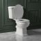 Duoblok Toilet Klassiek Inclusief Toiletzitting | Keuze Toiletzitting en Keuze Afwerking Spoelhendel/Scharnieren Toiletzitting | Richmond