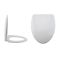 Altham Duroplast Zachtsluitende Toiletbril Easy Fix &  Bovenaansluiting