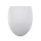 Altham Duroplast Zachtsluitende Toiletbril Easy Fix &  Bovenaansluiting