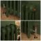 Gietijzeren Radiator met 4 Kolommen - Duck Green W55 van Farrow & Ball | 56cm Hoog  x  Kies de Breedte | Mercury