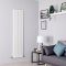 Verticale Design Radiator | Formaat, Kleur en Panelen naar keuze | Alpha