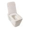 Hangend Toilet Modern Wit met Kort Muurframe | Keuze Bedieningsplaat | Sandford