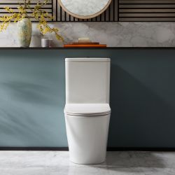 Duoblok Toilet Modern met Soft-Close Toiletzitting | Keuze Afwerking Spoelknop | Colby