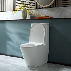 Duoblok Toilet Modern met Soft-Close Toiletzitting | Keuze Afwerking Spoelknop | Colby