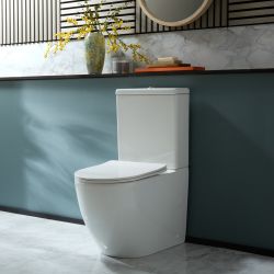 Duoblok Toilet Modern met Soft-Close Toiletzitting | Keuze Afwerking Spoelknop | Otterton