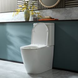 Duoblok Toilet Modern met Soft-Close Toiletzitting | Keuze Afwerking Spoelknop | Brunswick
