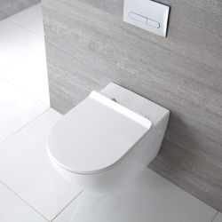 Duroplast Zachtsluitende Toiletbril Easy Fix &  Bovenaansluiting | Otterton