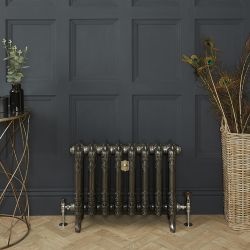 Gietijzeren Radiator 2 Kolommen 51cm Hoog Gepolijste Afwerking | Kies de Breedte | Charlotte