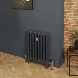 Gietijzeren Radiator 3 Kolommen 66cm Hoog - Railings Grey 31 van Farrow & Ball | Kies de Breedte | Mercury